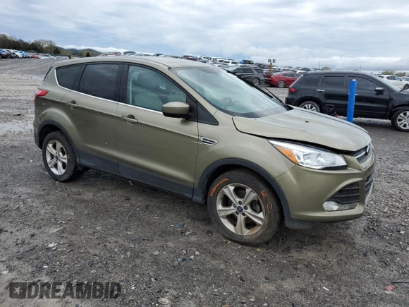 2014 Ford Escape SE with VIN 1FMCU0GX2EUA44369, listed as a Copart auction lot 51190805 with 117,975 mi miles and Salvage Title. Bid and sale history available at carsss.com. Image 4.