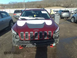 2014 Jeep Cherokee Trailhawk with VIN 1C4PJMBS9EW161047, listed as a IAAI auction lot 41841038 with Not Provided miles. Bid and sale history available at carsss.com. Image 12.