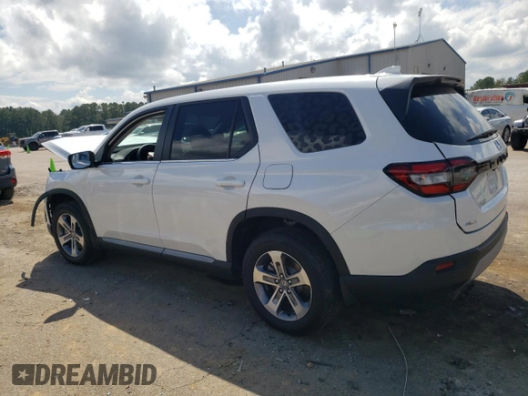 2024 Honda Pilot EX-L 7 Passenger with VIN 5FNYG1H59RB049863, listed as a Copart auction lot 71712164 with 5,629 mi miles and Salvage Title. Bid and sale history available at carsss.com. Image 2.