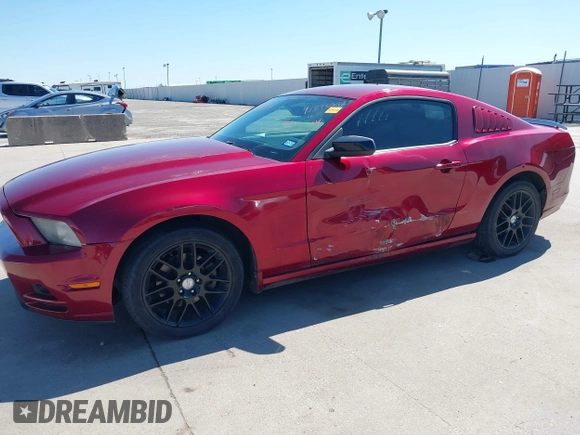 2014 Ford Mustang V6 with VIN 1ZVBP8AM3E5331909, listed as a IAAI auction lot 41843849 with 141,514 mi miles. Bid and sale history available at carsss.com. Image 6.