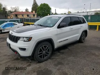 2017 Jeep Grand Cherokee Trailhawk with VIN 1C4RJFLT5HC939751, listed as a Copart auction lot 58444955 with 109,023 mi miles and Salvage title. Bid and sale history available at DreamBid. Image 1.