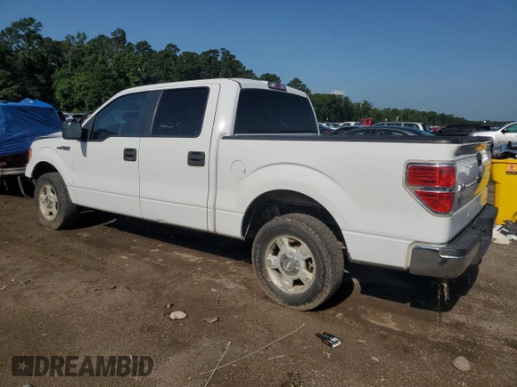 2013 Ford F-150 XL with VIN 1FTFW1CF3DFA68682, listed as a Copart auction lot 61295665 with 139,134 mi miles and Salvage title. Bid and sale history available at DreamBid. Image 2.