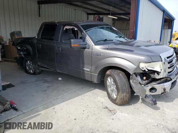 2014 Ford F-150 XL with VIN 1FTFW1CTXEKE24771, listed as a Copart auction lot 60308235 with Not provided miles and Salvage title. Bid and sale history available at DreamBid. Image 4.