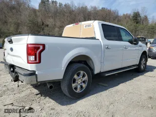2017 Ford F-150 XL with VIN 1FTEW1EFXHFA95974, listed as a Copart auction lot 48919085 with 236,491 mi miles and Salvage Title. Bid and sale history available at carsss.com. Image 3.