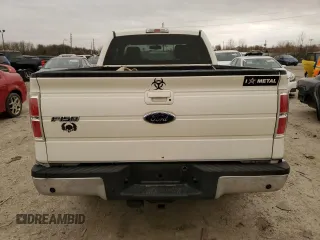 2009 Ford F-150 XL with VIN 1FTPX14V39FA22770, listed as a Copart auction lot 49878895 with 230,063 mi miles and Salvage Title. Bid and sale history available at carsss.com. Image 6.