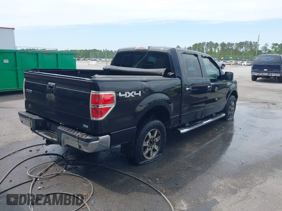 2010 Ford F-150 XL with VIN 1FTFW1EV6AFC64356, listed as a IAAI auction lot 41959894 with 246,154 mi miles and . Bid and sale history available at DreamBid. Image 4.