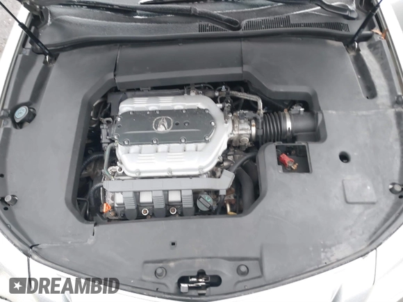 2009 Acura TL Tech with VIN 19UUA86569A020715, listed as a IAAI auction lot 41521211 with 179,977 mi miles. Bid and sale history available at carsss.com. Image 10.