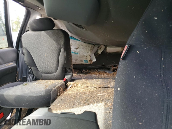 2000 Ford Expedition XLT with VIN 1FMRU166XYLA67790, listed as a Copart auction lot 43822185 with Not Provided miles and Salvage Title. Bid and sale history available at DreamBid. Image 10.