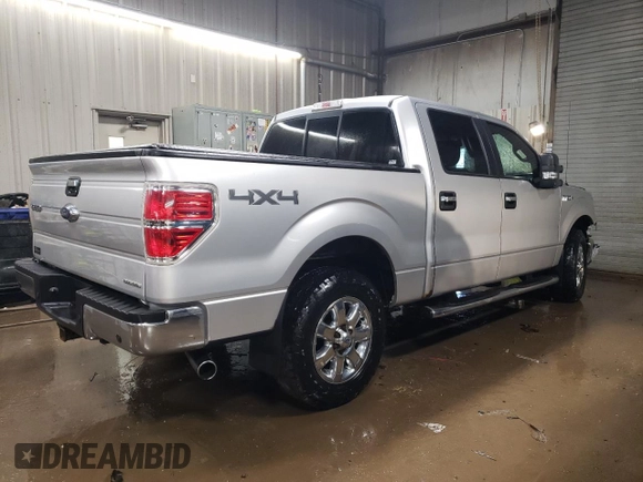 2013 Ford F-150 XL with VIN 1FTFW1EF1DFD38831, listed as a Copart auction lot 46692585 with 207,959 mi miles and Salvage Title. Bid and sale history available at DreamBid. Image 3.