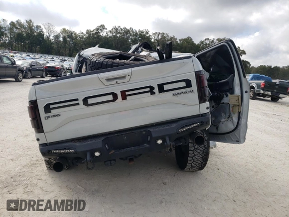 2017 Ford F-150 Raptor with VIN 1FTFW1RG0HFB64324, listed as a Copart auction lot 44772605 with Not Provided miles and Non Repairable. Bid and sale history available at carsss.com. Image 6.