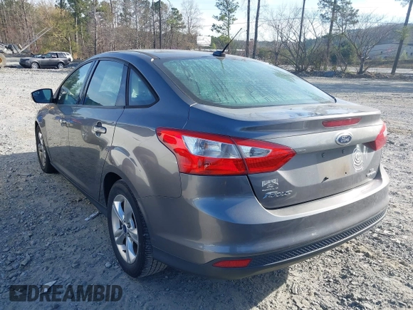 2014 Ford Focus SE with VIN 1FADP3F2XEL315908, listed as a IAAI auction lot 41843004 with 114,203 mi miles. Bid and sale history available at carsss.com. Image 3.