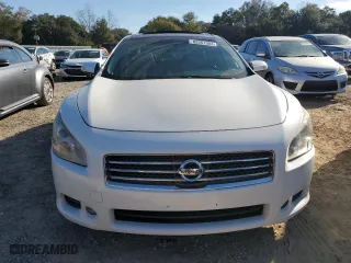 2010 Nissan Maxima 3.5 SV w/Premium Pkg with VIN 1N4AA5AP5AC845541, listed as a Copart auction lot 82057984 with 80,146 mi miles and Salvage Title. Bid and sale history available at carsss.com. Image 5.