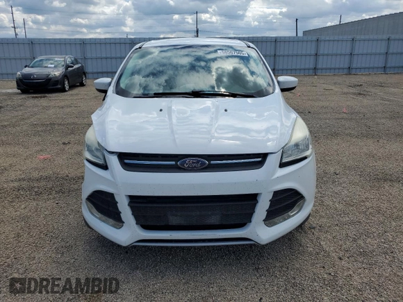 2013 Ford Escape SE with VIN 1FMCU9G96DUD66971, listed as a Copart auction lot 58507505 with 135,866 mi miles and Salvage title. Bid and sale history available at DreamBid. Image 5.