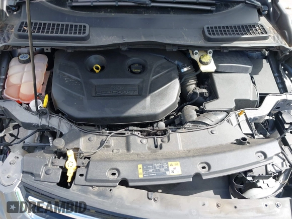 2013 Ford Escape Titanium with VIN 1FMCU0J91DUD39570, listed as a IAAI auction lot 42014892 with 55,184 mi miles and . Bid and sale history available at DreamBid. Image 10.