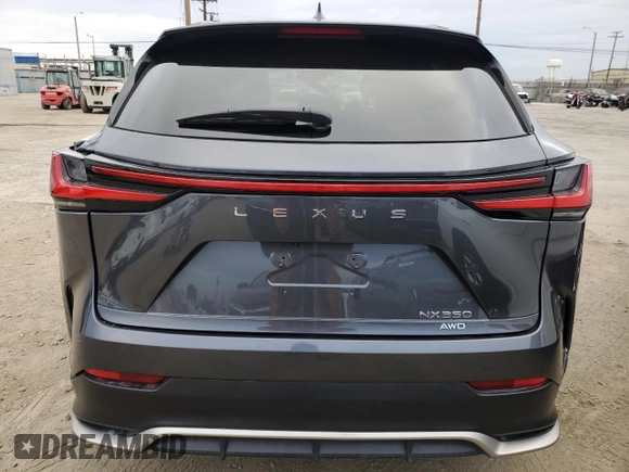 2022 Lexus NX with VIN 2T2KGCEZ4NC012724, listed as a Copart auction lot 53692485 with 31,256 mi miles and Salvage Title. Bid and sale history available at carsss.com. Image 6.
