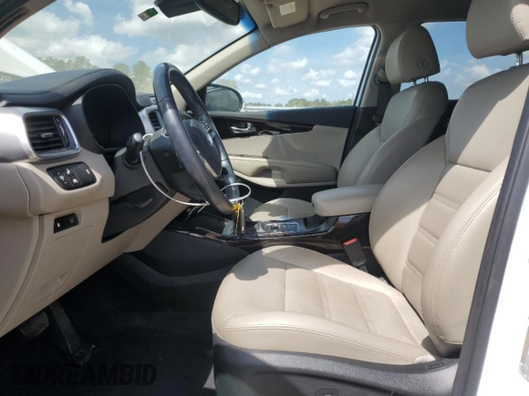 2019 Kia Sorento EX V6 with VIN 5XYPH4A58KG541903, listed as a Copart auction lot 50917225 with 97,284 mi miles and Salvage Title. Bid and sale history available at carsss.com. Image 7.