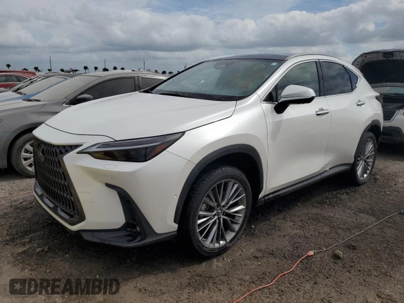 2022 Lexus NX with VIN JTJHKCEZ1N5002627, listed as a Copart auction lot 74983514 with 19,228 mi miles and Non Repairable. Bid and sale history available at carsss.com. Image 1.