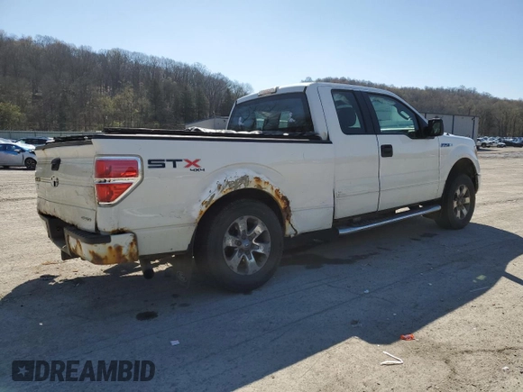 2013 Ford F-150 XL with VIN 1FTFX1EF6DFA23830, listed as a Copart auction lot 53295205 with 139,315 mi miles and Salvage Title. Bid and sale history available at carsss.com. Image 3.