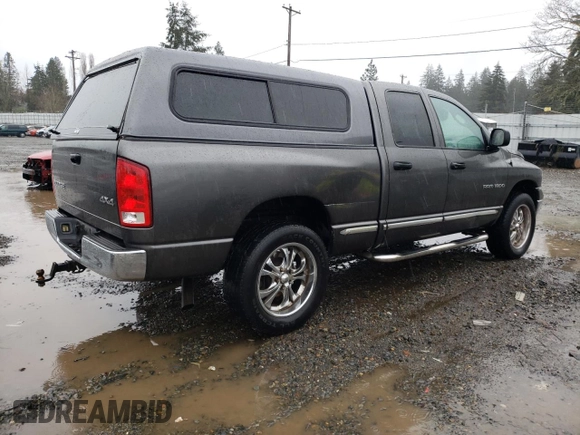 2002 Dodge 1500 with VIN 3D7HU18N72G165352, listed as a Copart auction lot 46918575 with Not Provided miles and Salvage Title. Bid and sale history available at carsss.com. Image 3.
