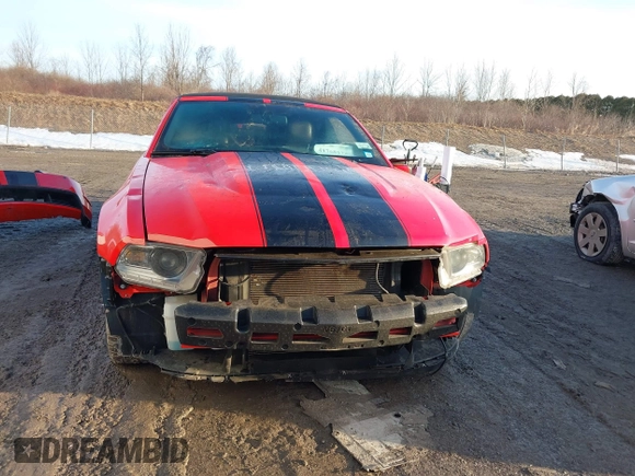 2011 Ford Mustang GT with VIN 1ZVBP8FF8B5124146, listed as a IAAI auction lot 41768128 with 85,264 mi miles and . Bid and sale history available at DreamBid. Image 13.