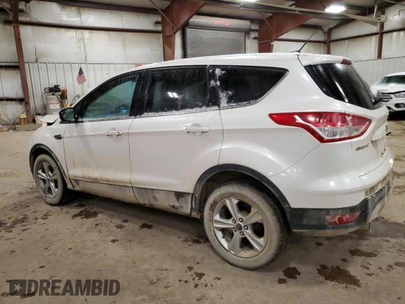 2013 Ford Escape SE with VIN 1FMCU0GX3DUA49482, listed as a Copart auction lot 85415084 with 131,056 mi miles and Salvage Title. Bid and sale history available at DreamBid. Image 2.