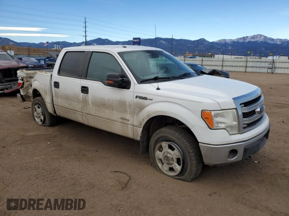 2014 Ford F-150 XL with VIN 1FTFW1ET2EFB47717, listed as a Copart auction lot 49323155 with 141,969 mi miles and Salvage title. Bid and sale history available at DreamBid. Image 4.