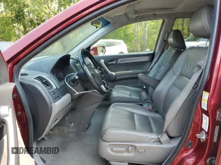 2008 Honda CR-V EX-L with VIN 5J6RE48748L807191, listed as a Copart auction lot 71180704 with 183,001 mi miles and Clean Title. Bid and sale history available at carsss.com. Image 7.