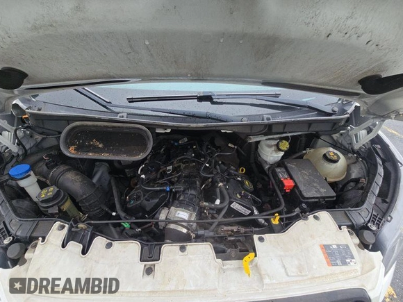 2019 Ford Transit with VIN 1FTYR1YG8KKB48131, listed as a IAAI auction lot 42737752 with 115,298 mi miles and . Bid and sale history available at DreamBid. Image 10.