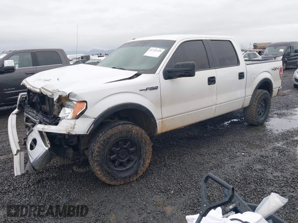 2014 Ford F-150 XL with VIN 1FTFW1EF1EFB50926, listed as a IAAI auction lot 41721129 with 154,174 mi miles. Bid and sale history available at carsss.com. Image 18.