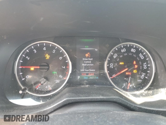 2019 Toyota RAV4 XLE with VIN 2T3P1RFV2KC053799, listed as a Copart auction lot 52495645 with 36,011 mi miles and Salvage Title. Bid and sale history available at carsss.com. Image 9.