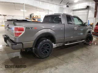 2013 Ford F-150 XL with VIN 1FTEX1EM6DFD11213, listed as a Copart auction lot 61350245 with 197,696 mi miles and Salvage title. Bid and sale history available at DreamBid. Image 3.