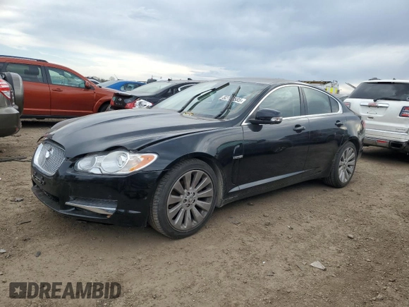 2009 Jaguar XF Premium Luxury z VIN SAJWA06B09HR20338, wystawiony jako Copart lot #52783585 z przebiegiem 82 260 mil mil oraz Szkoda całkowita • Salvage title. Historia ofert i sprzedaży dostępna na DreamBid. Obrazek 1.
