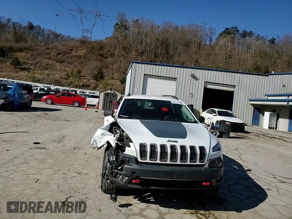 2016 Jeep Cherokee Trailhawk с VIN 1C4PJMBB2GW176413, выставлен на аукционе Copart как лот 48121595 с пробегом 120 715 миль миль и Списание • Salvage title. История ставок и продаж доступна на DreamBid. Изображение 11.