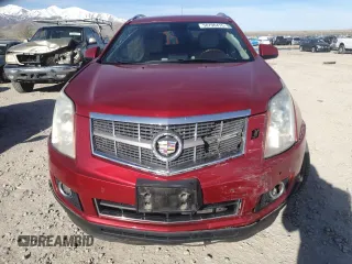2011 Cadillac SRX Premium Collection with VIN 3GYFNFEY6BS524546, listed as a Copart auction lot 50790475 with 0 mi miles and Salvage Title. Bid and sale history available at carsss.com. Image 5.