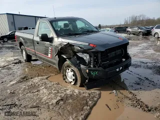 2018 Ford F-150 XL with VIN 1FTMF1EB3JKD90646, listed as a Copart auction lot 48501195 with 44,035 mi miles and Salvage Title. Bid and sale history available at carsss.com. Image 14.