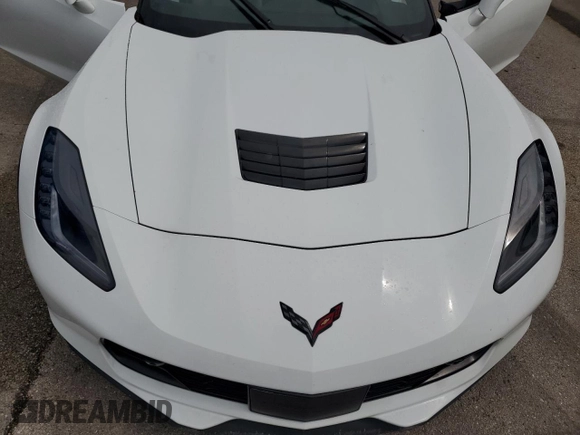 2019 Chevrolet Corvette Grand Sport 2LT with VIN 1G1YY2D71K5100492, listed as a Copart auction lot 74899774 with 0 mi miles and Non Repairable. Bid and sale history available at carsss.com. Image 11.