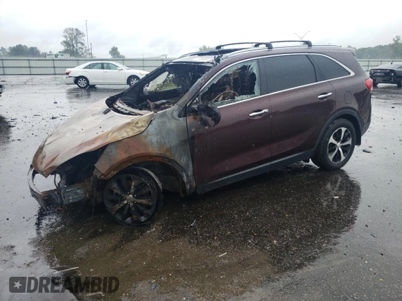 2016 Kia Sorento EX with VIN 5XYPH4A52GG123215, listed as a Copart auction lot 67654034 with Not Provided miles and Salvage Title. Bid and sale history available at DreamBid. Image 1.