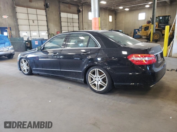 2010 Mercedes-Benz E-Class E 550 Luxury with VIN WDDHF9AB1AA156202, listed as a Copart auction lot 75260754 with 198,686 mi miles and Clean Title. Bid and sale history available at carsss.com. Image 2.
