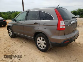 2009 Honda CR-V EX-L with VIN 5J6RE38729L028058, listed as a Copart auction lot 54246215 with 192,578 mi miles and Salvage Title. Bid and sale history available at carsss.com. Image 2.