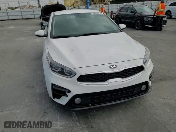 2019 Kia Forte LXS with VIN 3KPF24AD1KE103905, listed as a Copart auction lot 54056515 with 110,432 mi miles and Salvage Title. Bid and sale history available at carsss.com. Image 13.