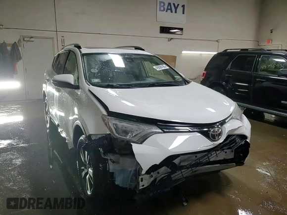 2017 Toyota RAV4 XLE with VIN JTMWFREV7HJ701268, listed as a Copart auction lot 49098185 with 79,314 mi miles and Salvage Title. Bid and sale history available at DreamBid. Image 13.