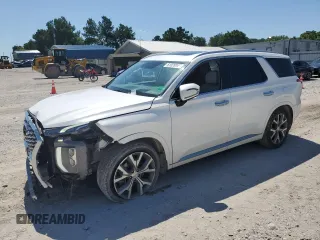 2021 Hyundai Palisade Limited with VIN KM8R5DHE9MU193484, listed as a Copart auction lot 61039945 with 96,842 mi miles and Salvage title. Bid and sale history available at DreamBid. Image 1.