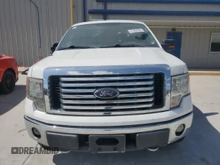 2010 Ford F-150 XL with VIN 1FTFW1EV9AFA76530, listed as a Copart auction lot 51303695 with 261,542 mi miles and Salvage Title. Bid and sale history available at DreamBid. Image 5.