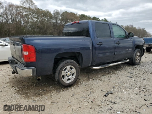 2009 Chevrolet Silverado 1500 LT with VIN 3GCEC23J19G183009, listed as a Copart auction lot 49624495 with 159,887 mi miles and Salvage Title. Bid and sale history available at carsss.com. Image 3.
