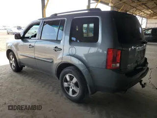 2009 Honda Pilot EX-L with VIN 5FNYF48609B017784, listed as a Copart auction lot 51204395 with 221,801 mi miles and Salvage Title. Bid and sale history available at carsss.com. Image 2.