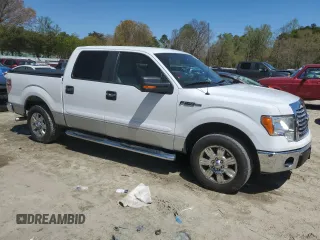 2010 Ford F-150 XL with VIN 1FTEW1C87AFD70646, listed as a Copart auction lot 53051625 with 162,396 mi miles and Salvage Title. Bid and sale history available at carsss.com. Image 4.