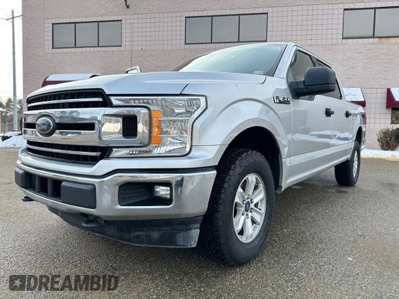 2018 Ford F-150 XL with VIN 1FTEW1EG5JFD16525, listed as a Copart auction lot 44023715 with 202,325 mi miles and Clean Title. Bid and sale history available at carsss.com. Image 2.