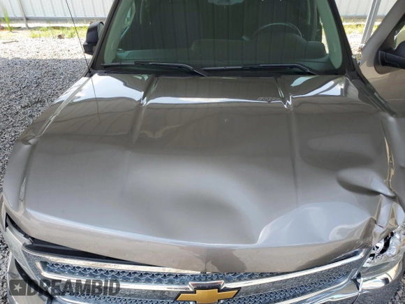 2013 Chevrolet Silverado 1500 LT with VIN 3GCPCSEA3DG237554, listed as a Copart auction lot 66333064 with 69,023 mi miles and Salvage Title. Bid and sale history available at DreamBid. Image 12.