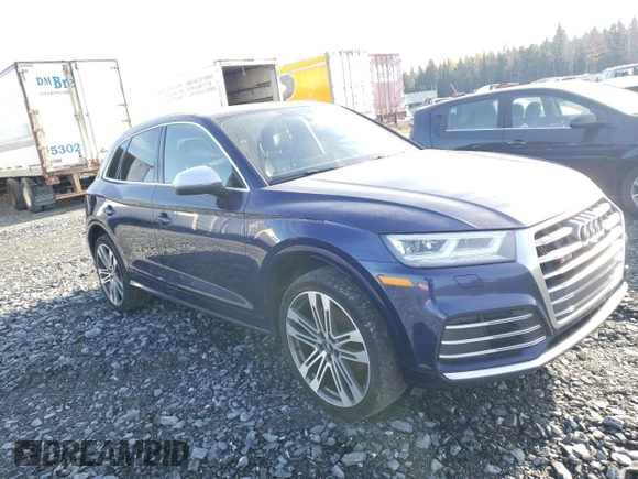 2018 Audi SQ5 Prestige with VIN WA1C4AFY1J2021704, listed as a Copart auction lot 76020664 with 119,928 mi miles and Salvage Title. Bid and sale history available at DreamBid. Image 4.
