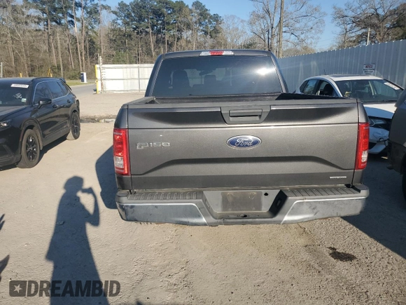 2015 Ford F-150 XL with VIN 1FTEW1CF6FKD44617, listed as a Copart auction lot 48336505 with 124,100 mi miles and Salvage Title. Bid and sale history available at carsss.com. Image 6.